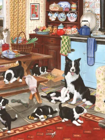 Produit Collie Wobbles Image