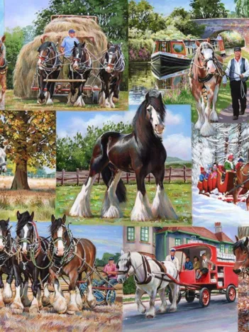 Produit Le Groupe des Poids Lourds Image