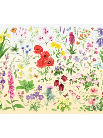 Produit Wildflowers Image