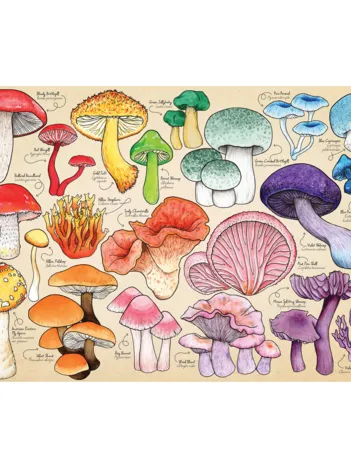 Produit La Manie Des Champignons Image