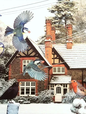 Produit A Bird's Eye View Image