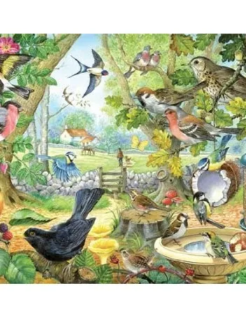 Produit Dawn Chorus Image