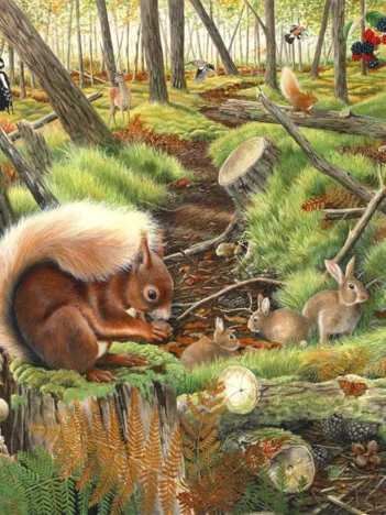 Produit Save Our Squirrels Image