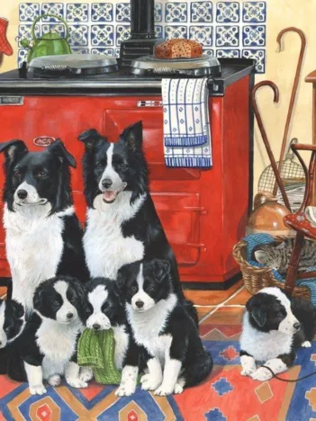 Produit Meet The Family Image