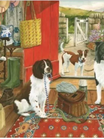 Produit Walkies Image