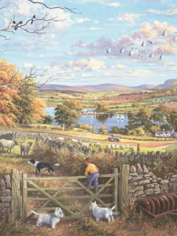 Produit Counting Sheep Image