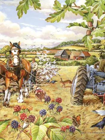 Produit Sign of the Times Image