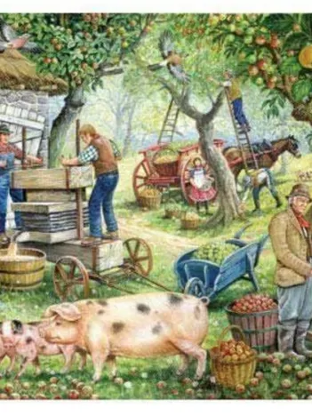 Produit Cider Makers Image