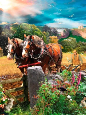 Produit Time & Tide Image