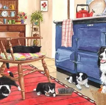 Produit Pièces XXL - Cinq Contre Cinq Image