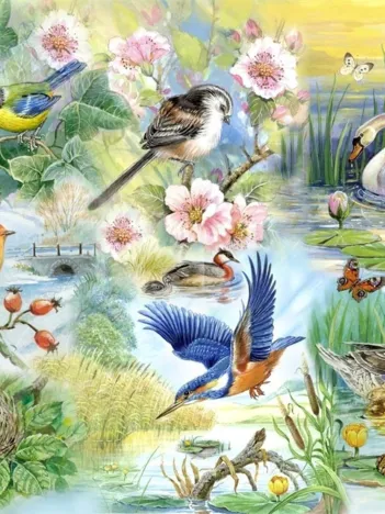 Produit Pièces XXL - Feathered Friends Image