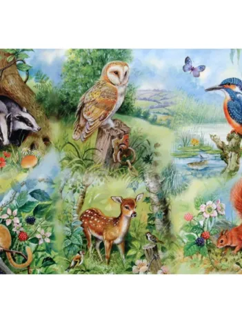 Produit Pièces XXL - Etude Naturelle Image