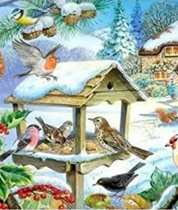 Produit Pièces XXL - Feed The Birds Image