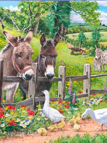 Produit Pièces XXL - Jack & Jenny Image