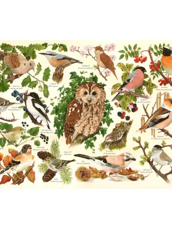 Produit Pièces XXL - Oiseaux Des Bois Image