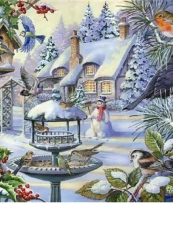 Produit Pièces XXL - Winter Birds Image