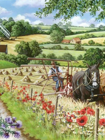 Produit Pièces XXL - Windmill Lane Image