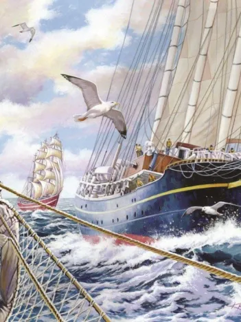 Produit Pièces XXL - Steady As She Goes Image