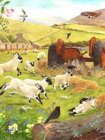 Produit Pièces XXL - Woolly Jumpers Image