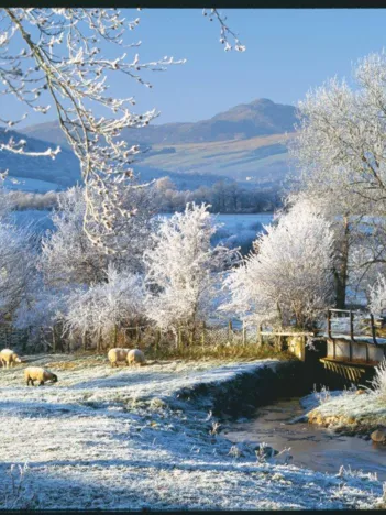 Produit Pièces XXL - Touch Of Frost Image