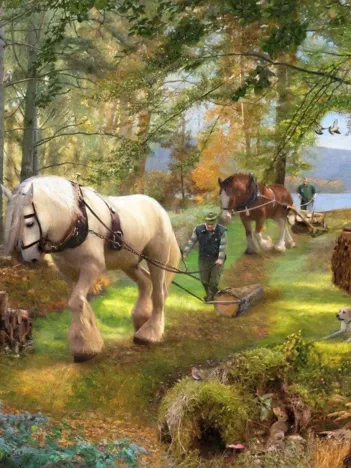 Produit Horse Power Image