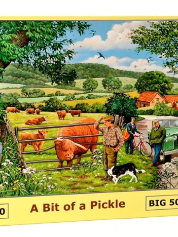 Produit Pièces XXL - A Bit Of A Pickle Image