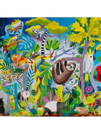 Produit Foret Amazonienne Image