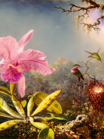 Produit Martin Johnson Heade - Cattleya Orchid and Three Hummingbirds, 1871 Image