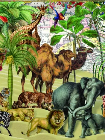 Produit Desert Image