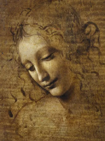 Produit Leonard de Vinci - La Scapigliata, 1506-1508 Image