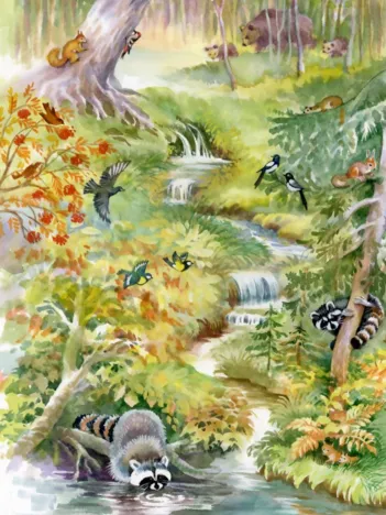 Produit Forest Animals Image