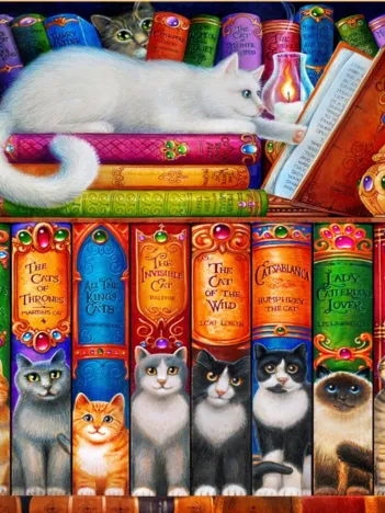 Produit Cat Bookshelf Image