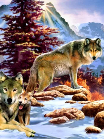 Produit A New Dawn Image