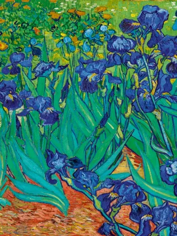 Produit Vincent Van Gogh - Irises, 1889 Image