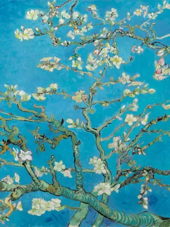 Produit Vincent Van Gogh - Almond Blossom, 1890 Image