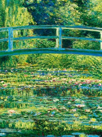 Produit Claude Monet - The Water-Lily Pond, 1899 Image