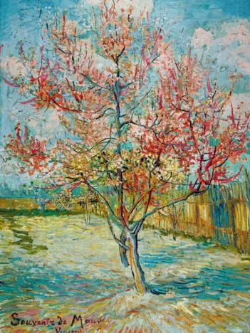 Produit Vincent Van Gogh - Pink Peach Trees (Souvenir de Mauve), 1888 Image