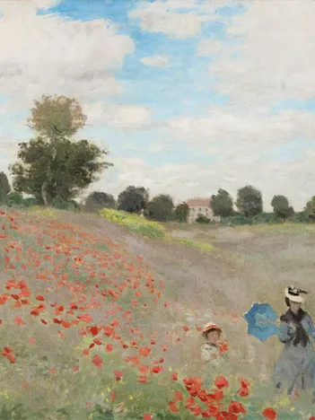 Produit Claude Monet - Poppy Field, 1873 Image