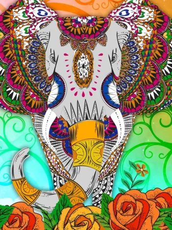 Produit Colorful Elephant Image