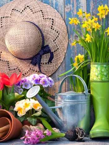 Produit Ready for the Garden Image