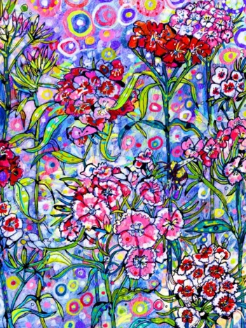 Produit Sweet William Image