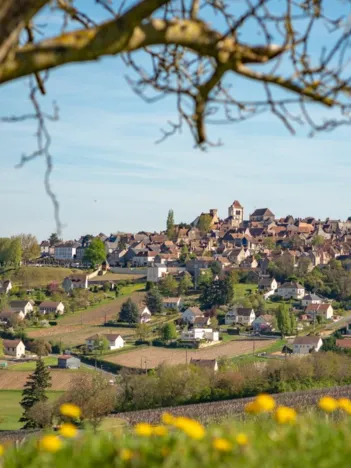 Produit Sancerre, Centre-Val de Loire, France Image