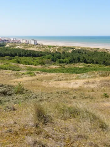 Produit Dunes d'Hardelot, Côte d'Opale, France Image