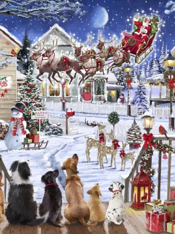 Produit Pets on Porch Image