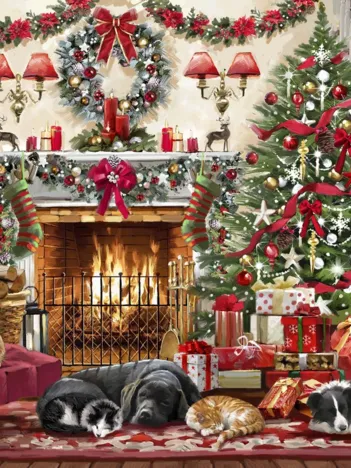 Produit Cosy Fireplace Image