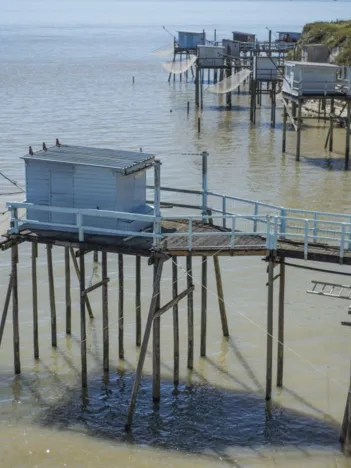 Produit Cabanes de Pêcheurs - Les Carrets Image