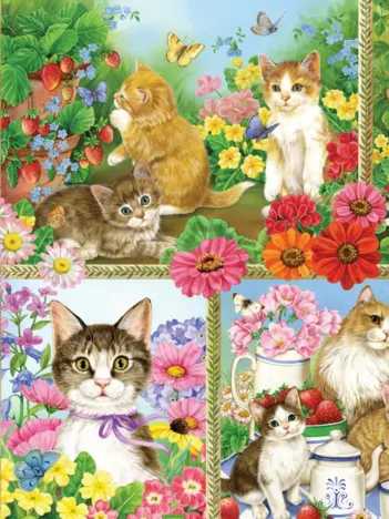 Produit Chats et Chatons Image