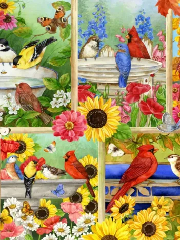 Produit Plumes et Compagnie Image