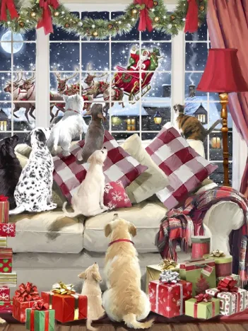 Produit En Attendant le Père Noël Image