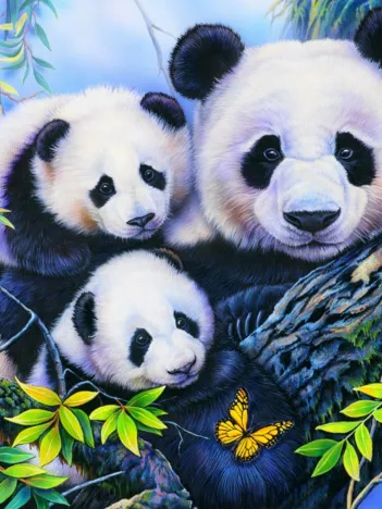 Produit Panda Family Image